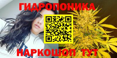 спиды Славгород